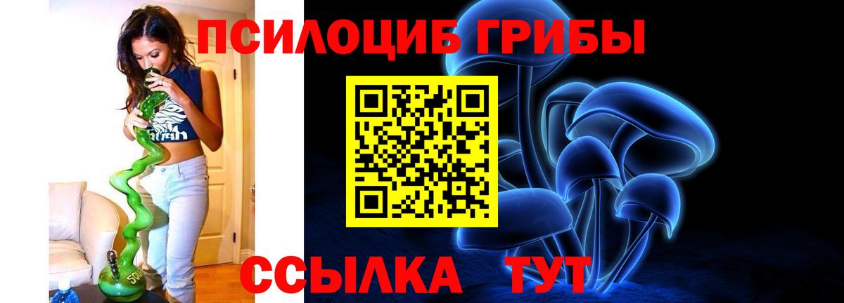 Мытищи  Галлюциногенные грибы Cubensis  Вход с VPN  Псилоцибиновые грибы мицелий 